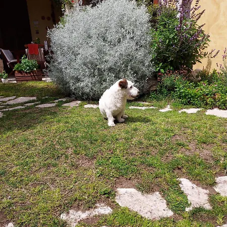 Vakantiehuis L'ulivo Di Ugo Quartu SantʼElena