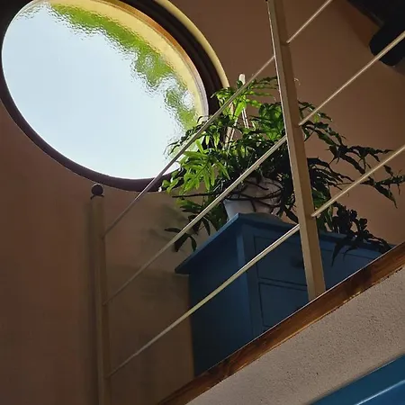 L'ulivo Di Ugo Semesterbostad