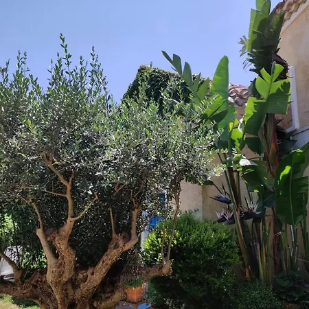 Semesterbostad L'ulivo Di Ugo *