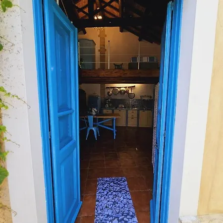 L'ulivo Di Ugo