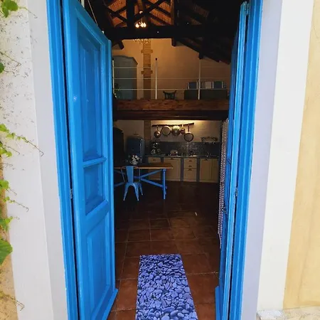 L'ulivo Di Ugo