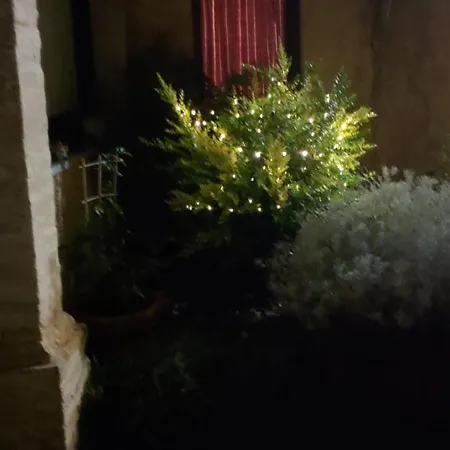 L'ulivo Di Ugo Сasa de vacaciones Quartu SantʼElena