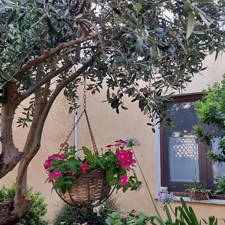 L'ulivo Di Ugo Сasa de vacaciones
