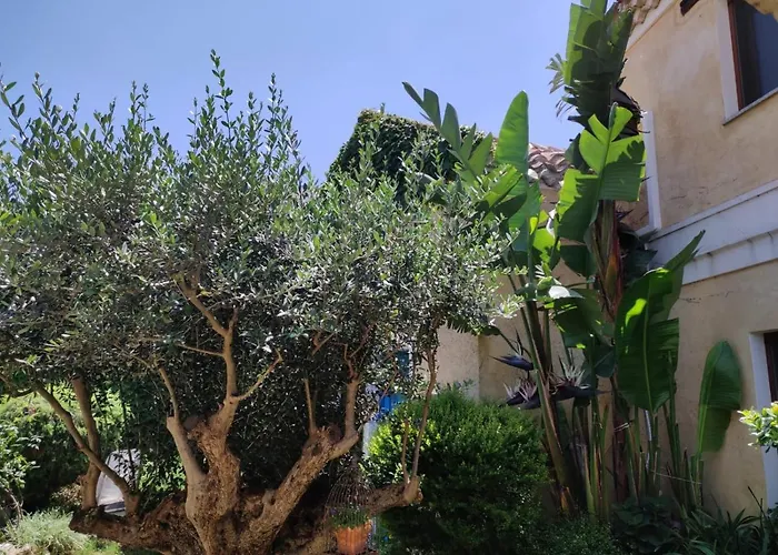 Tatil Evi L'ulivo Di Ugo *